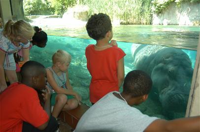 Children watching for Hippos at the zoo