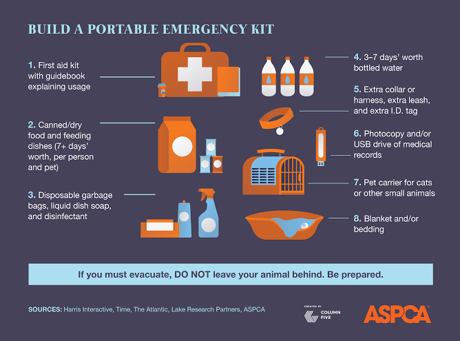 Petpreparedness_Infographics